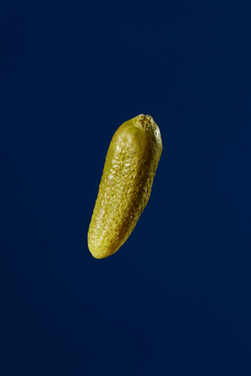Gurkerl
